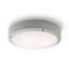 SONNY mennyezeti lámpa ezüstszürke  230V LED E27 2x15W IP54